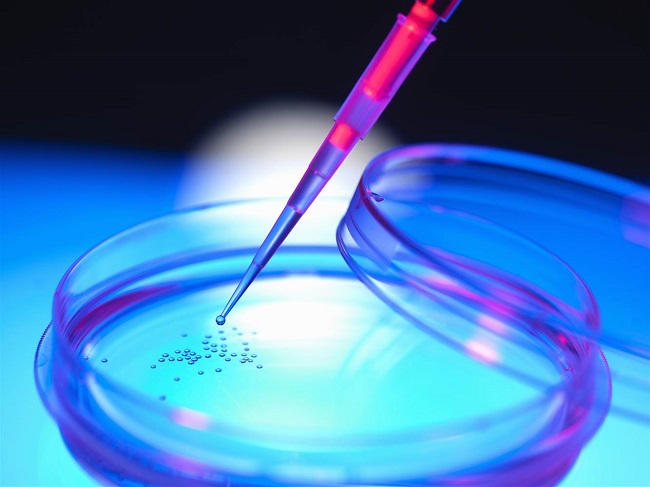 stem cell research stem cell research